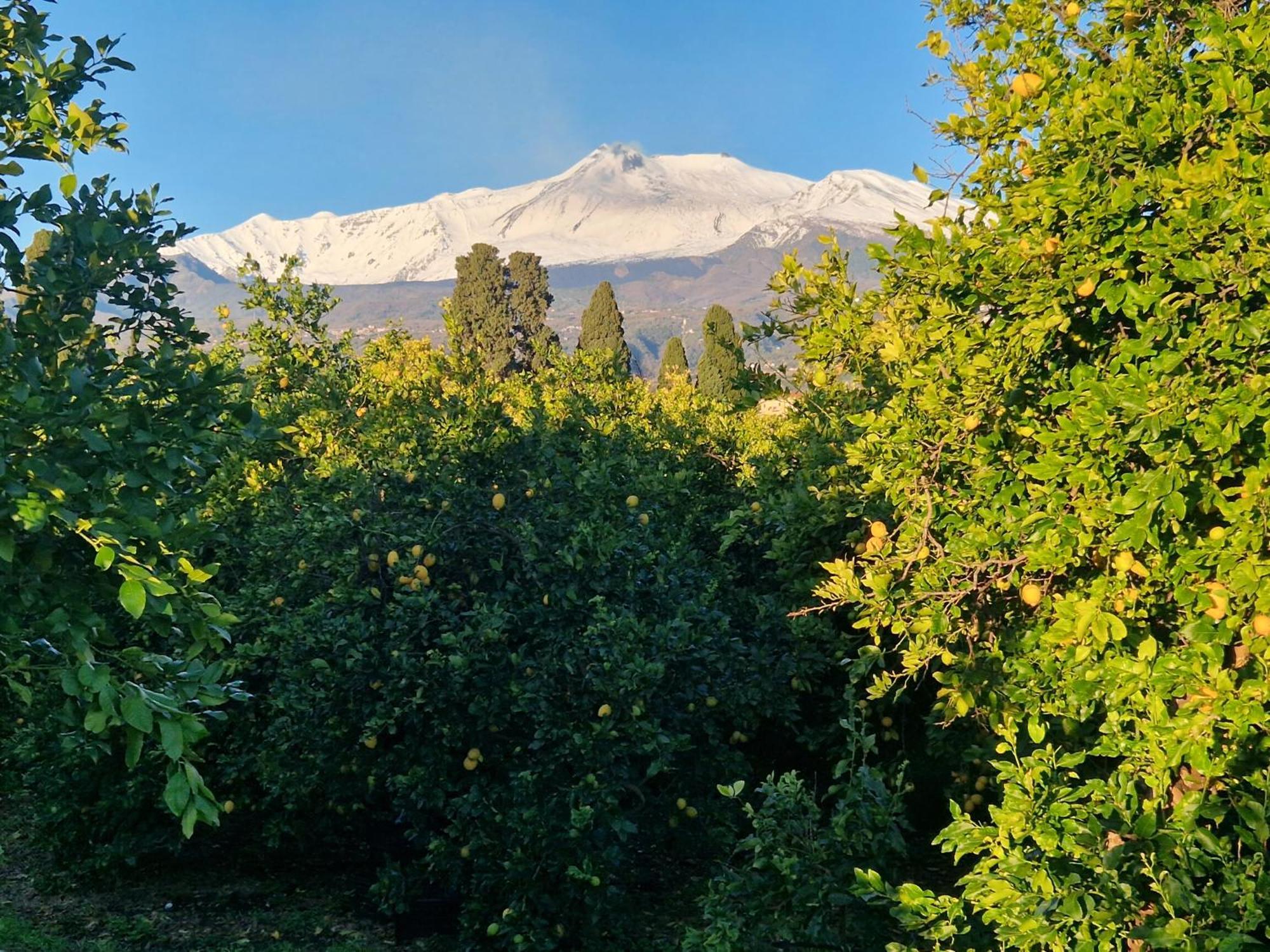 Vila Lumia Riposto Exteriér fotografie